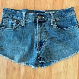 Jazzie Stretch Denim Blue Women Shorts